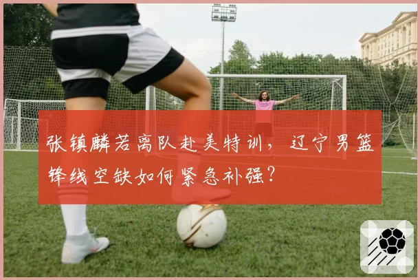 张镇麟若离队赴美特训，辽宁男篮锋线空缺如何紧急补强？
