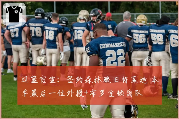 辽篮官宣：签约森林狼旧将莱迪 本季最后一位外援+布罗金顿离队