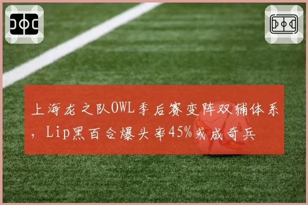 上海龙之队OWL季后赛变阵双辅体系,Lip黑百合爆头率45%或成奇兵